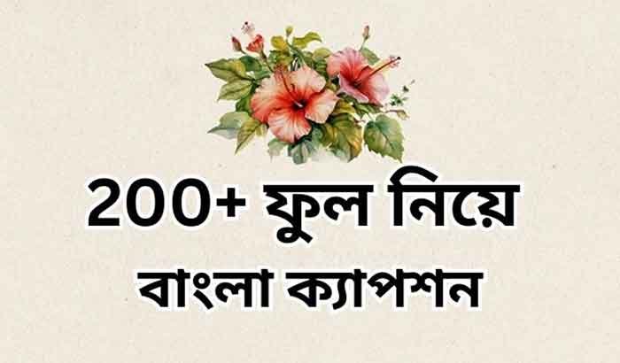 200+ ফুল নিয়ে ক্যাপশন 4 ফুল নিয়ে ক্যাপশন